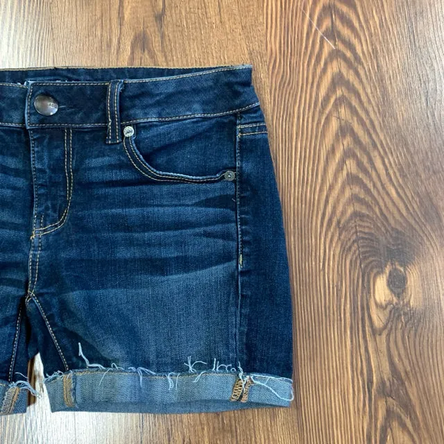 American Eagle SIZE 4 Junior's Shorts