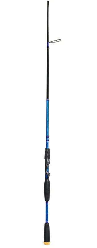 Sure! Here is an optimized version of the product title with added modifiers:

Eagle Claw ECIS76MMF1 Inshore Spinning Rod - 76 Medium Power, Fast Action Fishing Rod for Saltwater and Freshwater