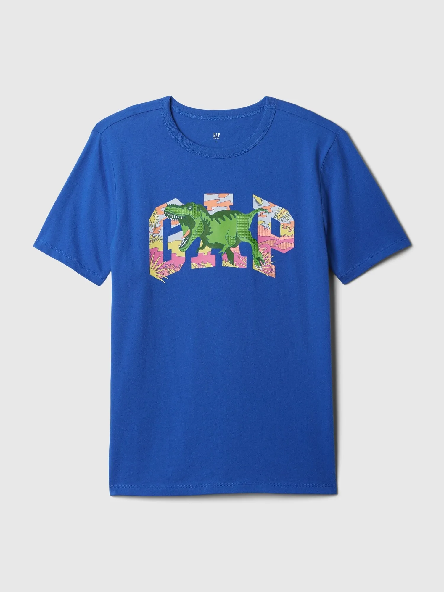 Kids Graphic T-Shirt