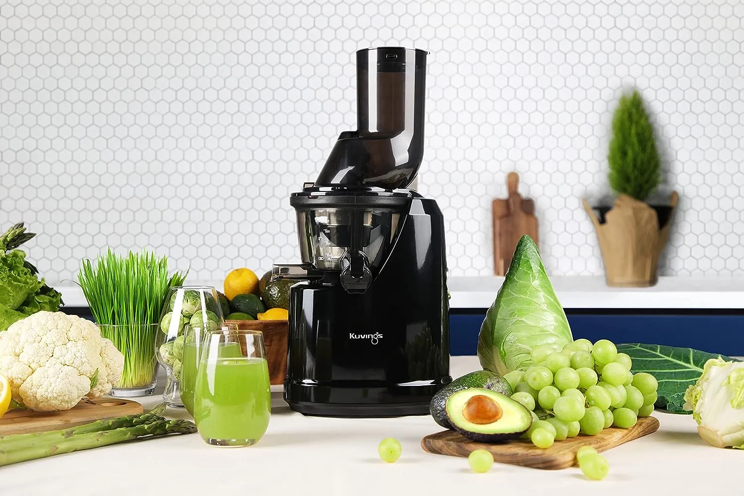 Kuvings Professional Cold Press Whole Slow Juicer (B1700)