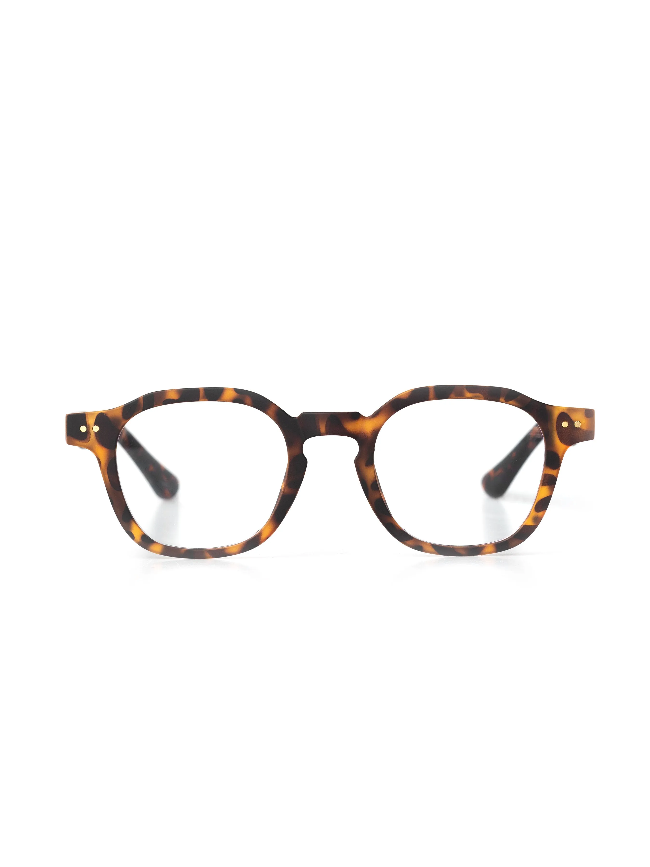 Raphael Acetate Glasses